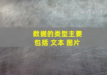 数据的类型主要包括 文本 图片